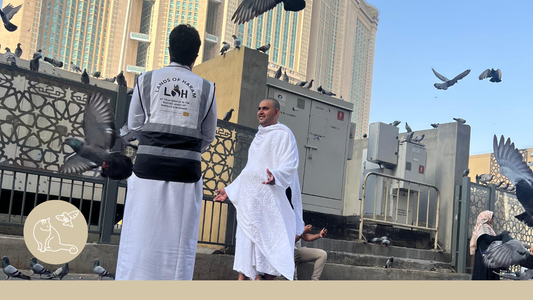 Feed the Cats & Birds of the Haram