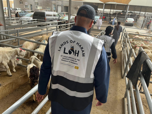 Hajj Qurbani